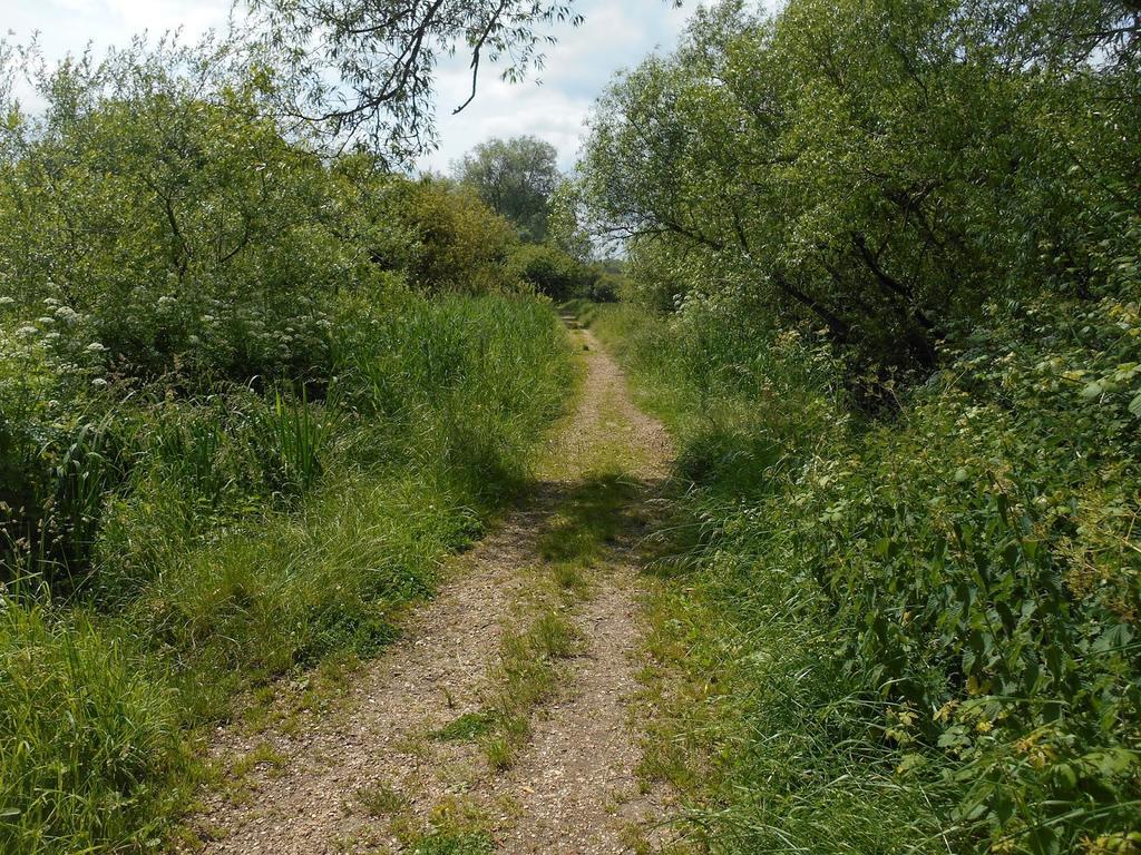 סאות'המפטון Shirley Apartments, Cozy Studio, Self Check In, 10 Min Drive To City Centre, Walking To Redbridge Train Station מראה חיצוני תמונה